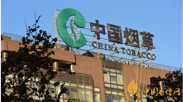 香煙漲價(jià)最新消息2020：香煙漲價(jià)真的能控?zé)焼?>
                                    <span>香煙漲價(jià)最新消息2020：香煙漲價(jià)真的能控?zé)焼?/span>
                                    <p>現(xiàn)在我國(guó)煙民的基數(shù)在不斷增大，而且有越來(lái)越多的青少年加入吸煙</p>
                                </a>
                            </li>
                                                                                </ul>
                    </div>

                </div>
            </div>
        </div>
    </div>

    
<link rel=