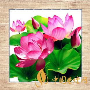 鉆石荷花煙多少錢一包 2025鉆石荷花煙價(jià)格一覽