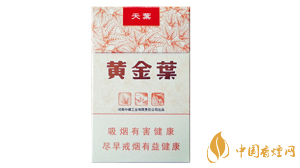 黃金葉天葉真?zhèn)卧趺幢鎰e？天葉真假如何看？