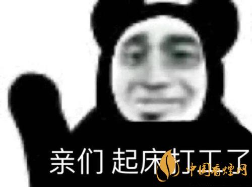 早安打工人是什么梗 早安打工人梗语录大全