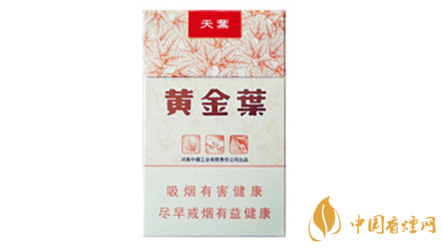 黃金葉天葉真假怎樣區(qū)分？黃金葉天葉真假識(shí)別