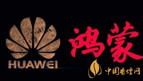 鴻蒙OS缺陷分析-鴻蒙OS為什么不受大家喜歡