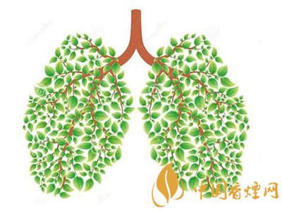 相比癌癥慢阻肺疾病離吸煙者更近！