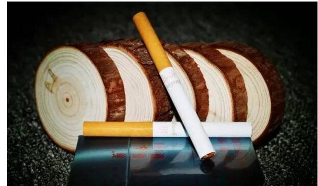 黃鶴樓游泳回歸，爺爺輩最喜愛的香煙品牌