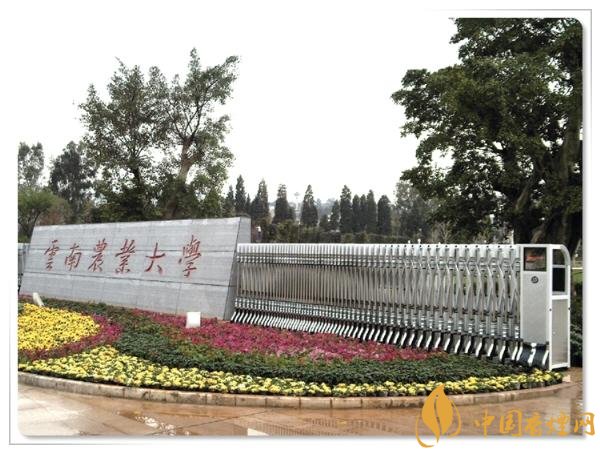煙草專業(yè)大學排名，煙草專業(yè)就業(yè)前景好