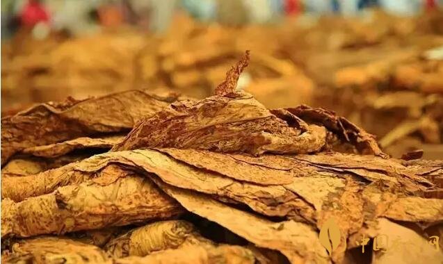 津巴布韋煙葉為什么好，黃金煙葉成為國寶