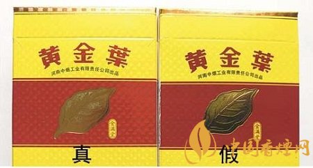 黃金葉金滿堂香煙真假辨別圖鑒 一看便知真假！